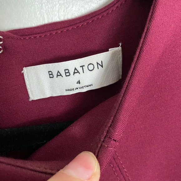 Mini Babaton Dress - Picture 3 of 3